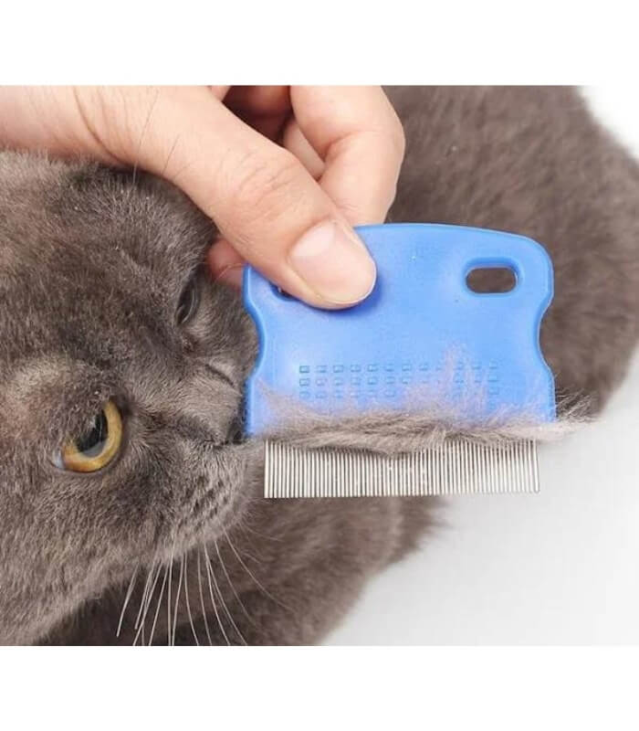 Kedi ve Köpek Pire Tarağı