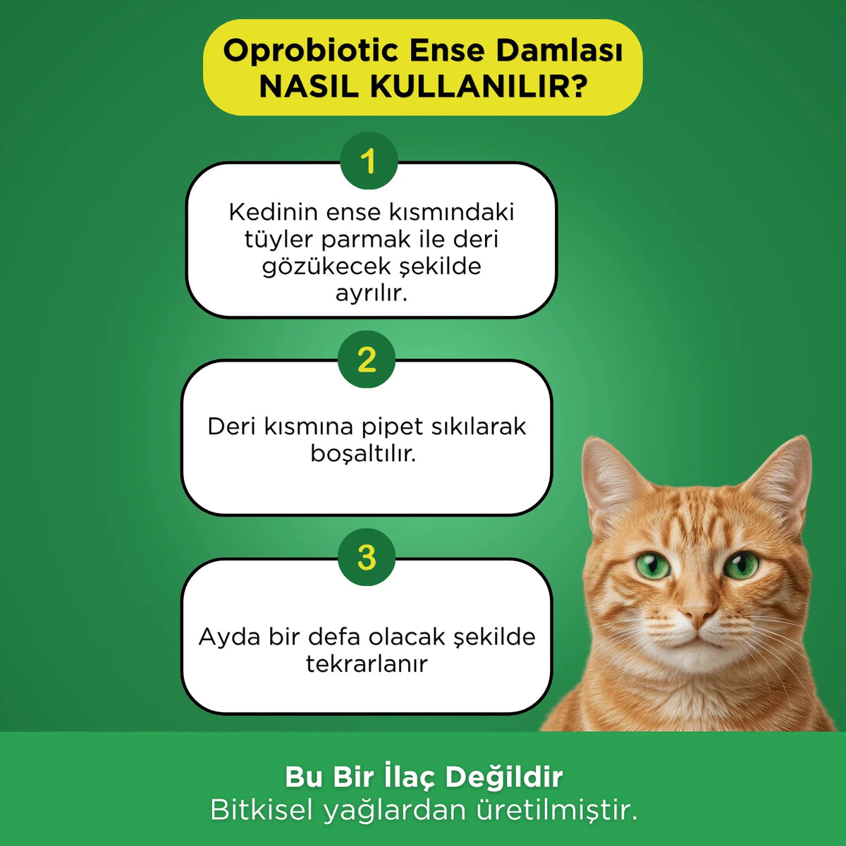 Oprobiotic Dış Parazit Bitkisel Kedi Ense Deri Damlası (5'li Tüp Kedi Ense Deri Damlası)