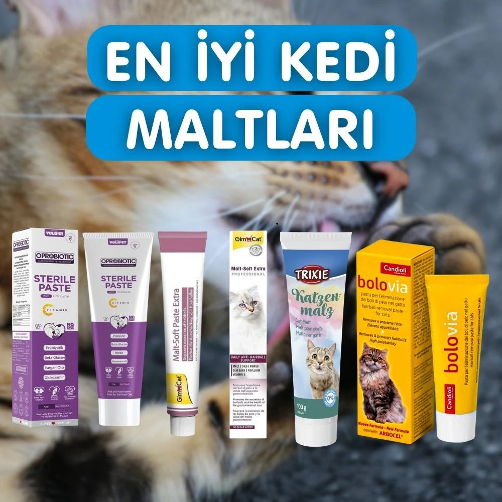 En İyi Kedi Maltları 2025